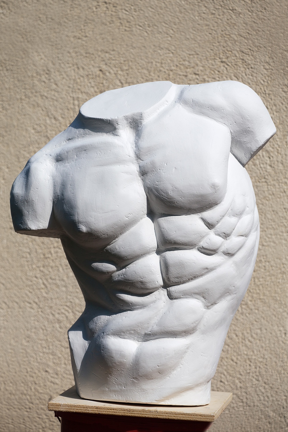 elenawuest_previous-works_torso-kentaurus