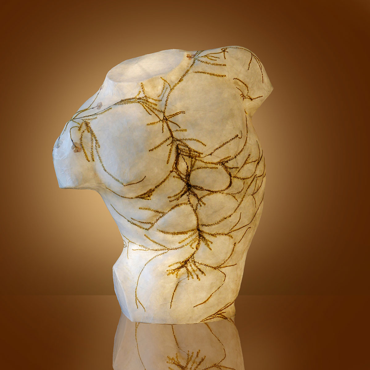 Kentaurus, light sculpture by Elena Wuest