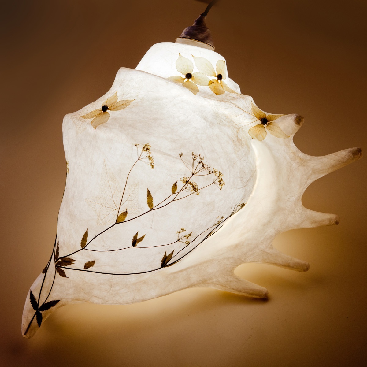 Muschel, light sculpture by Elena Wuest